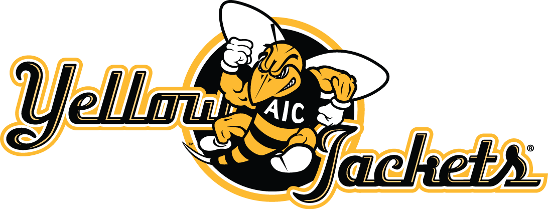 aic yellow jackets 2009-pres alternate logo v2 diy iron on heat transfer